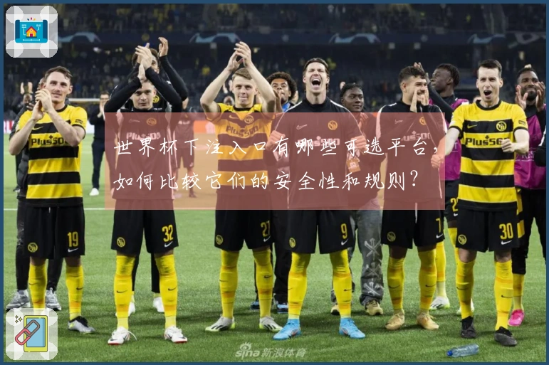世界杯下注入口有哪些可选平台，如何比较它们的安全性和规则？