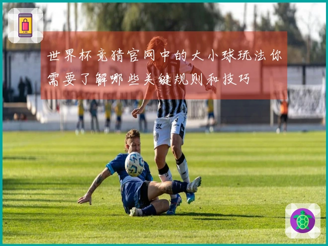 世界杯竞猜官网中的大小球玩法你需要了解哪些关键规则和技巧