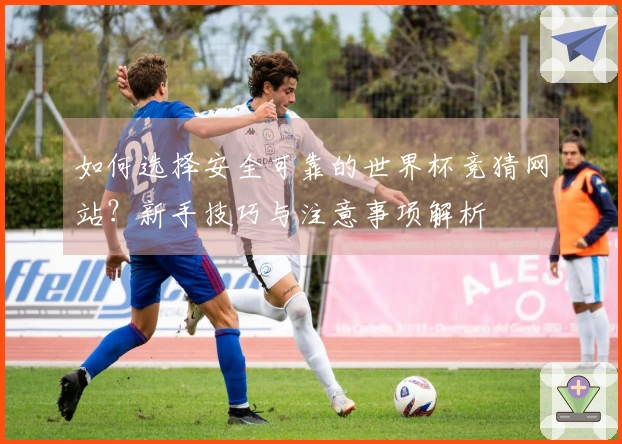 如何选择安全可靠的世界杯竞猜网站？新手技巧与注意事项解析