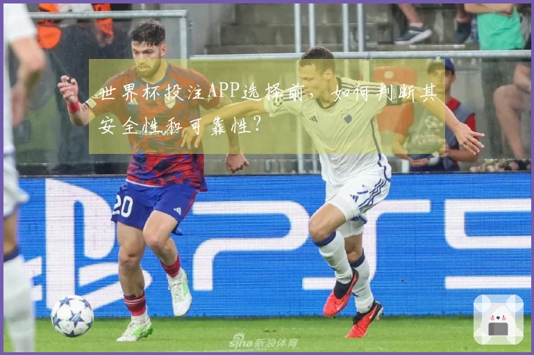 世界杯投注APP选择前，如何判断其安全性和可靠性？