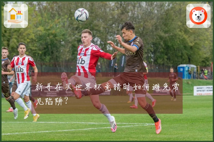 新手在买世界杯竞猜时如何避免常见陷阱？