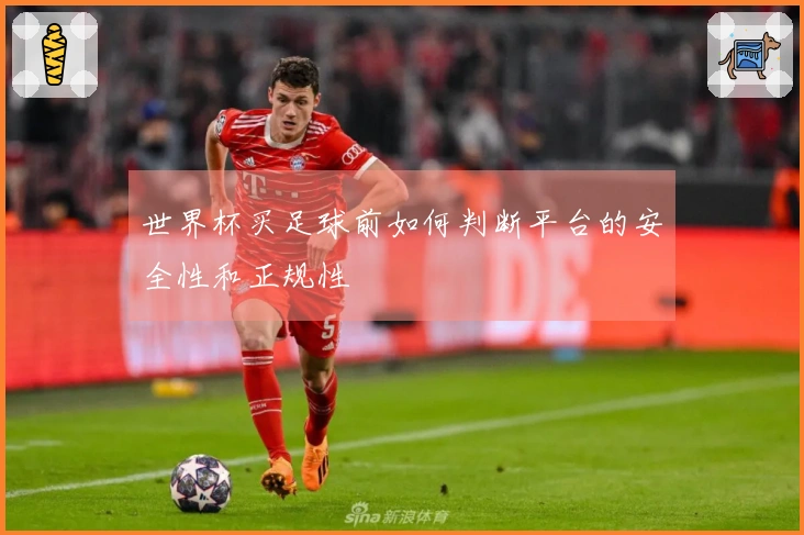 世界杯买足球前如何判断平台的安全性和正规性