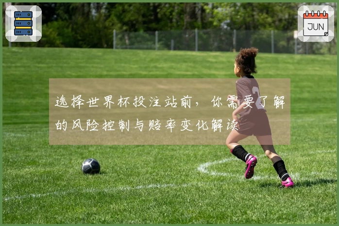 选择世界杯投注站前，你需要了解的风险控制与赔率变化解读