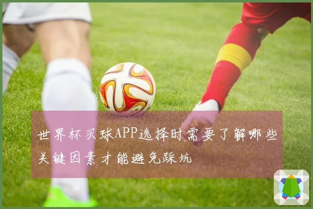 世界杯买球APP选择时需要了解哪些关键因素才能避免踩坑