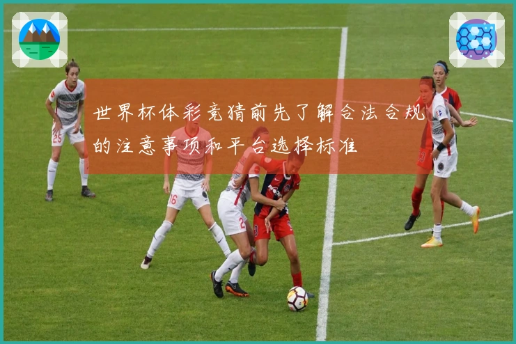 世界杯体彩竞猜前先了解合法合规的注意事项和平台选择标准