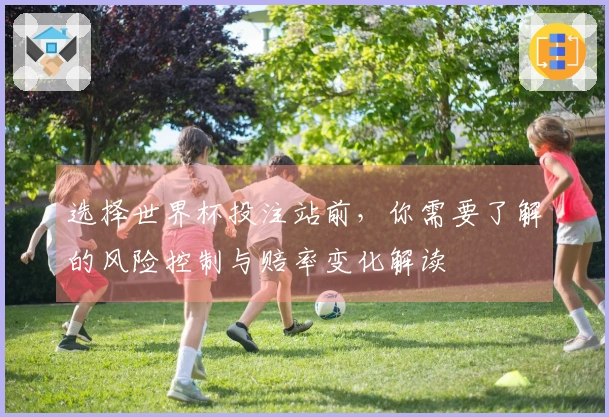 选择世界杯投注站前，你需要了解的风险控制与赔率变化解读