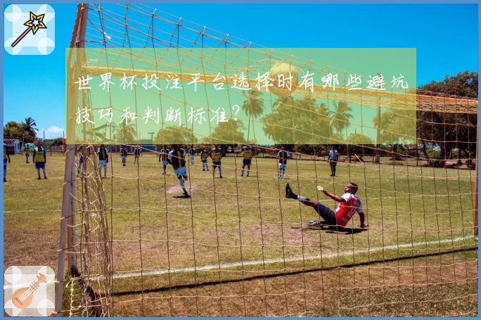 世界杯投注平台选择时有哪些避坑技巧和判断标准？