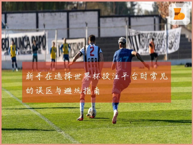 新手在选择世界杯投注平台时常见的误区与避坑指南