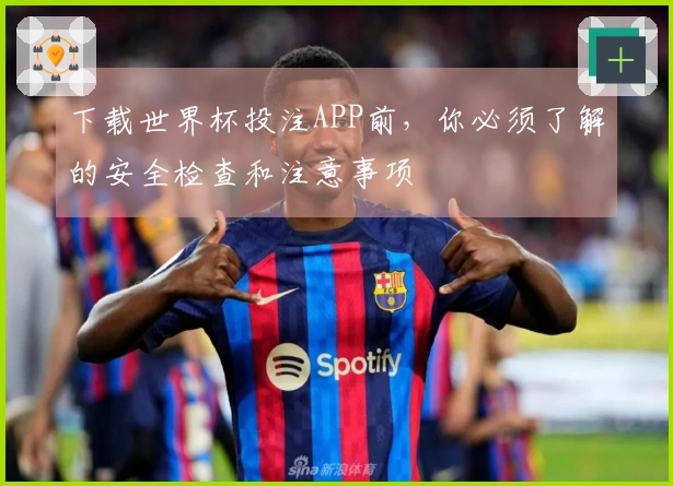 下载世界杯投注APP前，你必须了解的安全检查和注意事项