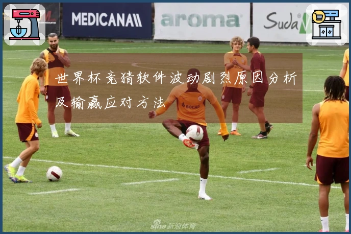 世界杯竞猜软件波动剧烈原因分析及输赢应对方法