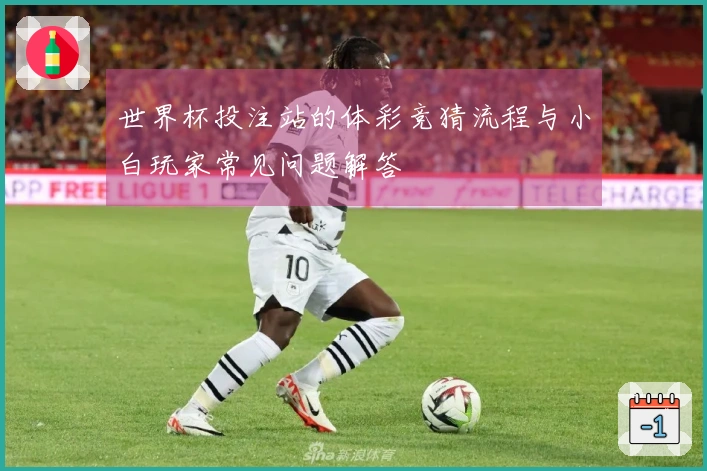 世界杯投注站的体彩竞猜流程与小白玩家常见问题解答