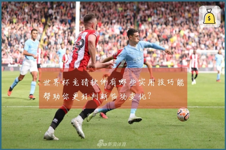 世界杯竞猜软件有哪些实用技巧能帮助你更好判断临场变化？