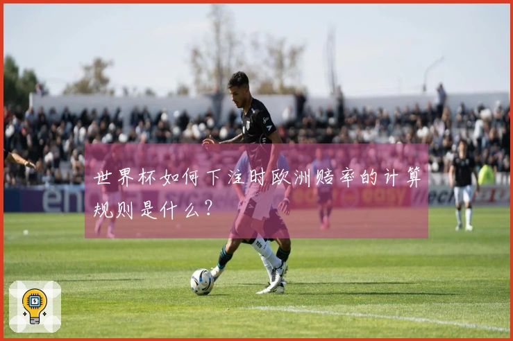 世界杯如何下注时欧洲赔率的计算规则是什么？