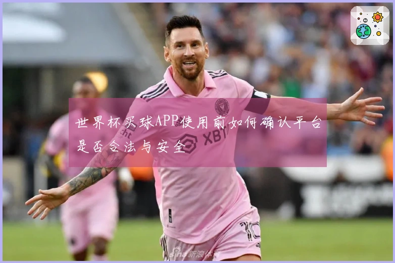 世界杯买球APP使用前如何确认平台是否合法与安全