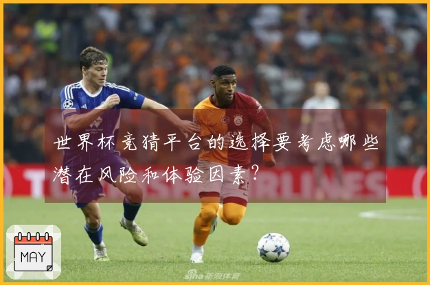 世界杯竞猜平台的选择要考虑哪些潜在风险和体验因素？