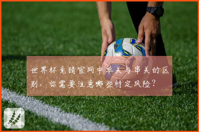 世界杯竞猜官网中单关与串关的区别，你需要注意哪些特定风险？