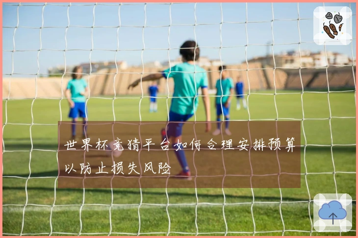 世界杯竞猜平台如何合理安排预算以防止损失风险