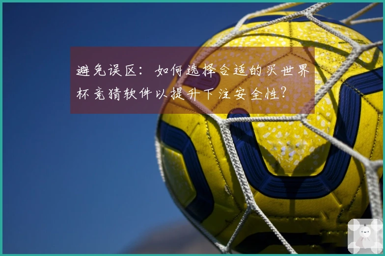 避免误区：如何选择合适的买世界杯竞猜软件以提升下注安全性？