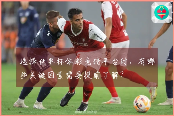 选择世界杯体彩竞猜平台时，有哪些关键因素需要提前了解？