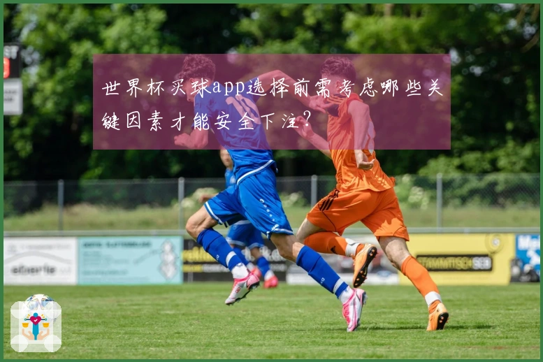 世界杯买球app选择前需考虑哪些关键因素才能安全下注？
