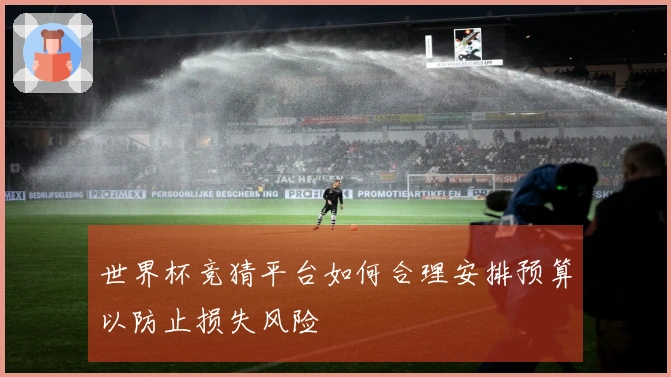 世界杯竞猜平台如何合理安排预算以防止损失风险