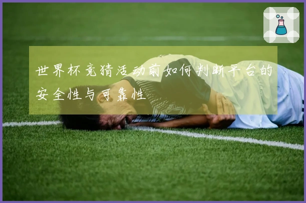 世界杯竞猜活动前如何判断平台的安全性与可靠性