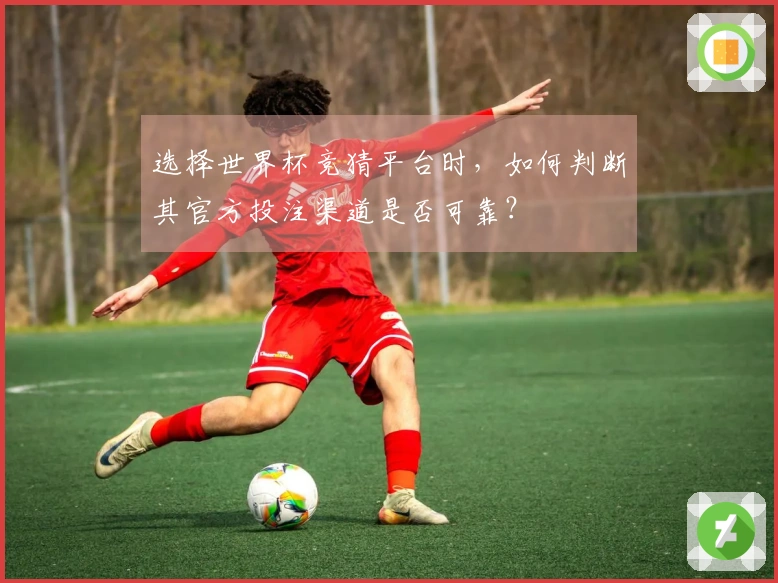 选择世界杯竞猜平台时，如何判断其官方投注渠道是否可靠？