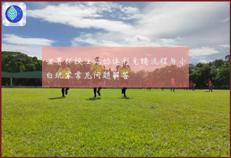 世界杯投注站的体彩竞猜流程与小白玩家常见问题解答
