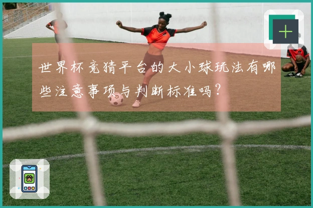 世界杯竞猜平台的大小球玩法有哪些注意事项与判断标准吗？