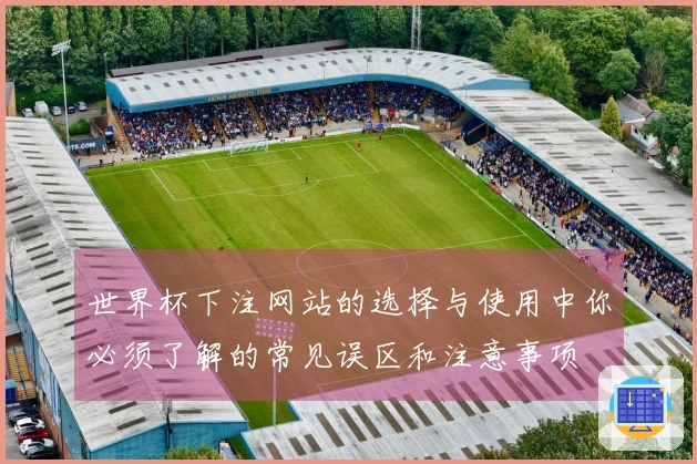世界杯下注网站的选择与使用中你必须了解的常见误区和注意事项