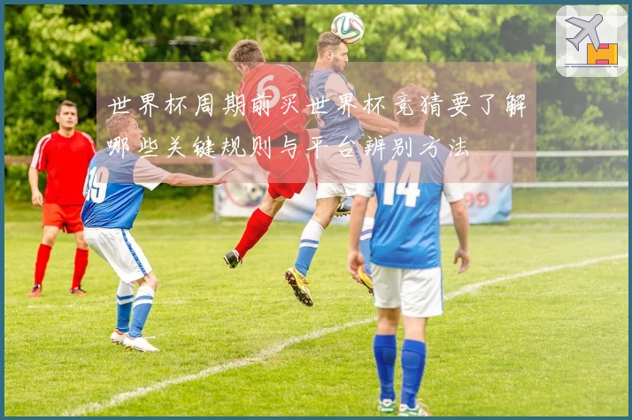 世界杯周期前买世界杯竞猜要了解哪些关键规则与平台辨别方法