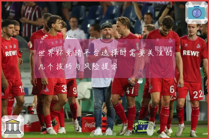 世界杯竞猜平台选择时需要关注的几个技巧与风险提示