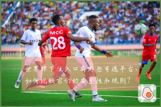 世界杯下注入口有哪些可选平台，如何比较它们的安全性和规则？