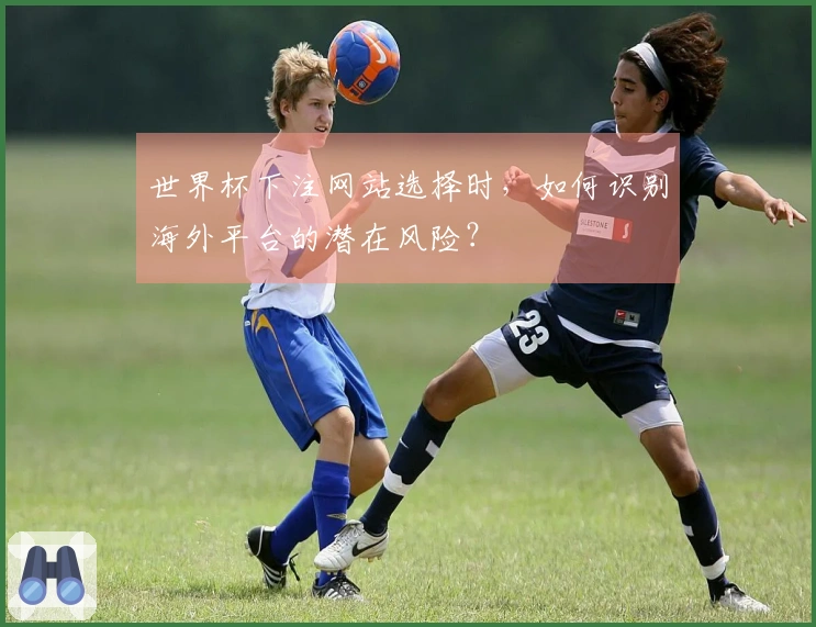 世界杯下注网站选择时，如何识别海外平台的潜在风险？