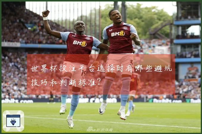 世界杯投注平台选择时有哪些避坑技巧和判断标准？
