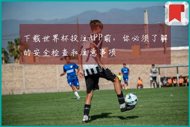 下载世界杯投注APP前，你必须了解的安全检查和注意事项