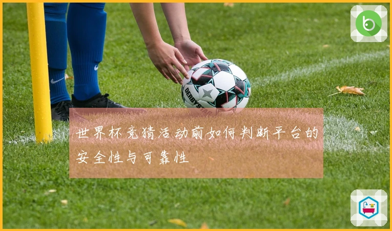 世界杯竞猜活动前如何判断平台的安全性与可靠性