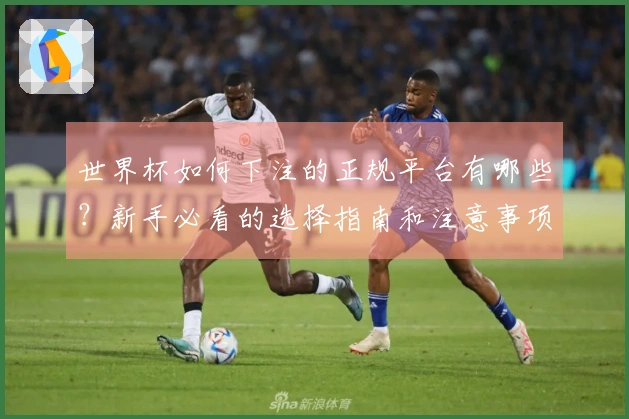 世界杯如何下注的正规平台有哪些？新手必看的选择指南和注意事项
