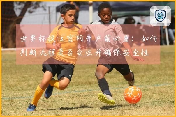 世界杯投注官网开户前必看：如何判断流程是否合法并确保安全性