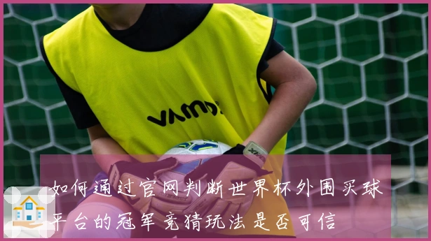 如何通过官网判断世界杯外围买球平台的冠军竞猜玩法是否可信
