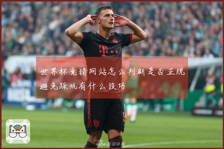 世界杯竞猜网站怎么判断是否正规避免踩坑有什么技巧
