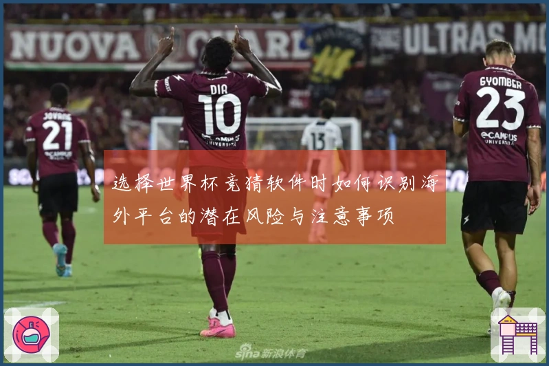 选择世界杯竞猜软件时如何识别海外平台的潜在风险与注意事项