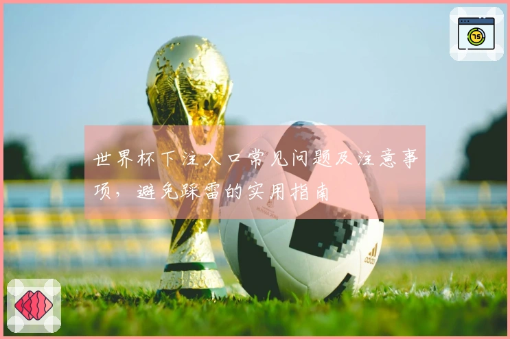 世界杯下注入口常见问题及注意事项，避免踩雷的实用指南