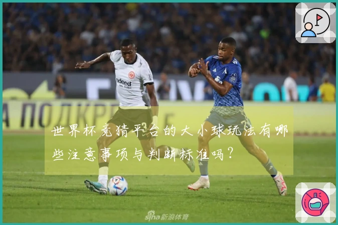世界杯竞猜平台的大小球玩法有哪些注意事项与判断标准吗？