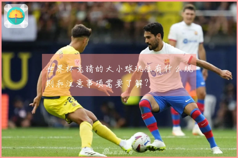 世界杯竞猜的大小球玩法有什么规则和注意事项需要了解？