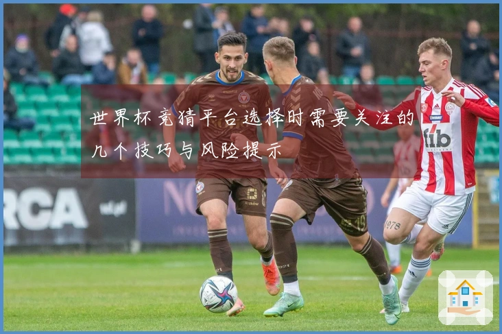 世界杯竞猜平台选择时需要关注的几个技巧与风险提示