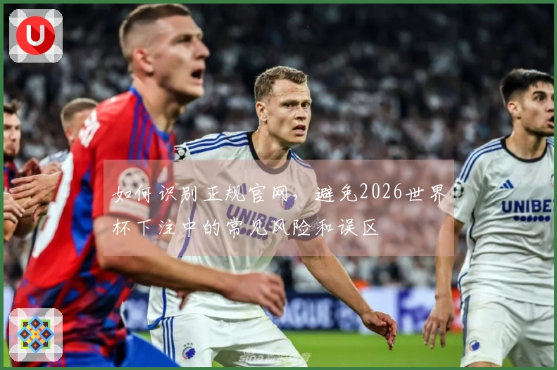 如何识别正规官网，避免2026世界杯下注中的常见风险和误区
