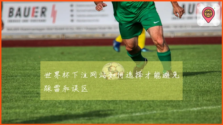 世界杯下注网站如何选择才能避免踩雷和误区