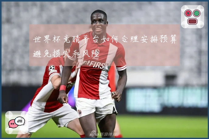 世界杯竞猜平台如何合理安排预算避免损失和风险